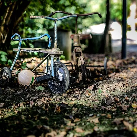 Le Moulin De Planiol فندق مبيت وإفطار Le Vigan (Lot)