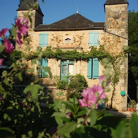 Le Moulin De Planiol *