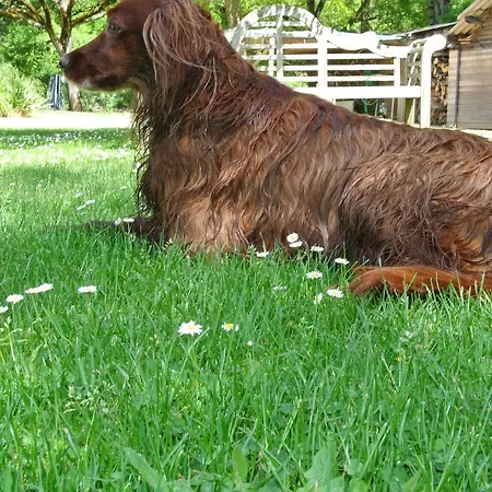 Le Moulin De Planiol 3* Le Vigan (Lot)