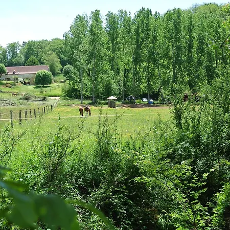 Le Moulin De Planiol *