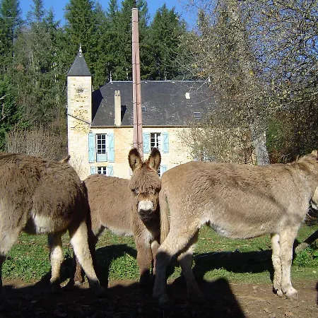 Le Moulin De Planiol