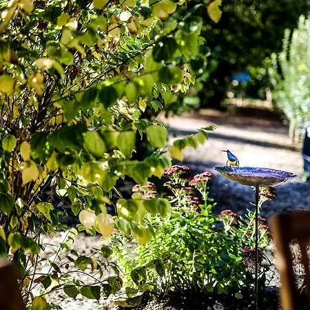 Le Moulin De Planiol Bed & Breakfast Le Vigan (Lot)