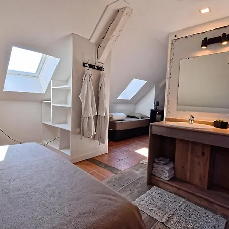 Le Moulin De Planiol Le Vigan (Lot)