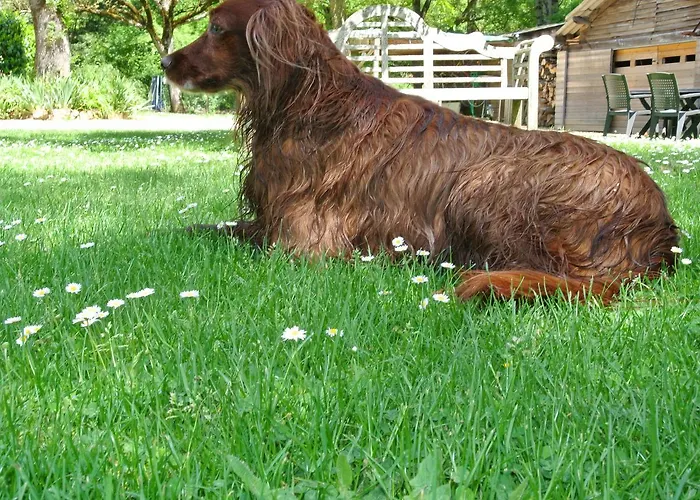 Le Moulin De Planiol 3* Le Vigan (Lot)