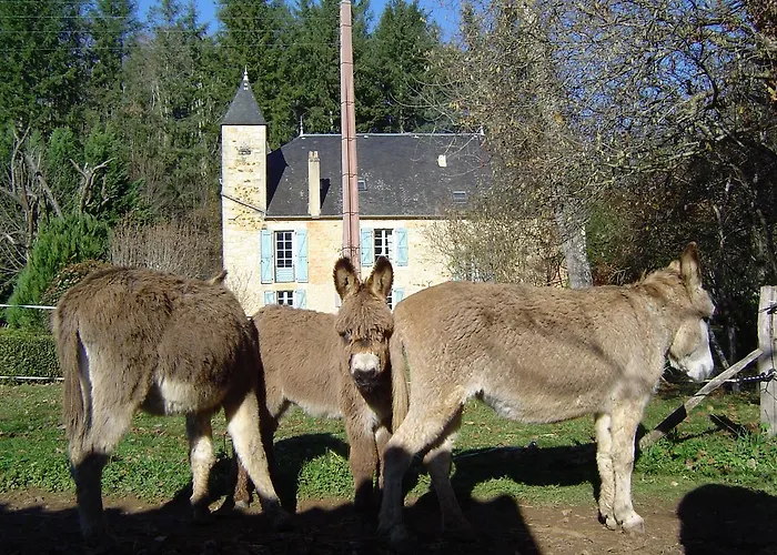 Le Moulin De Planiol