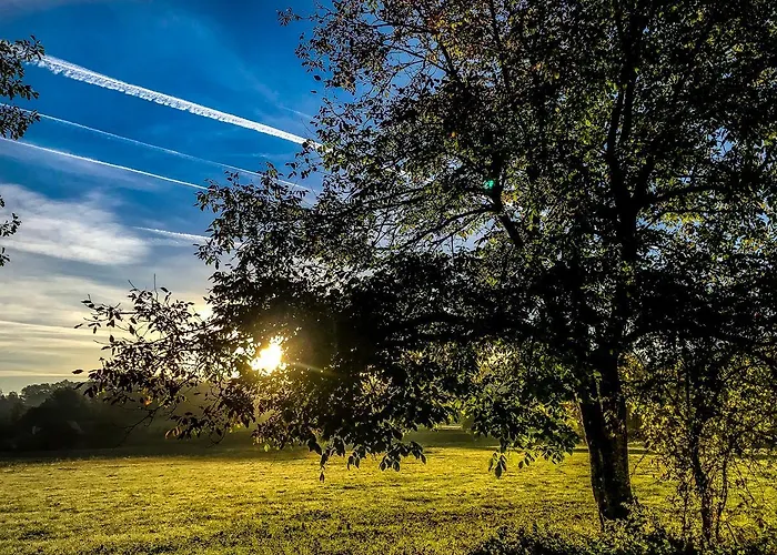 Le Moulin De Planiol Le Vigan (Lot)