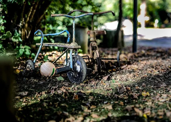 Le Moulin De Planiol Couette-café Le Vigan (Lot)