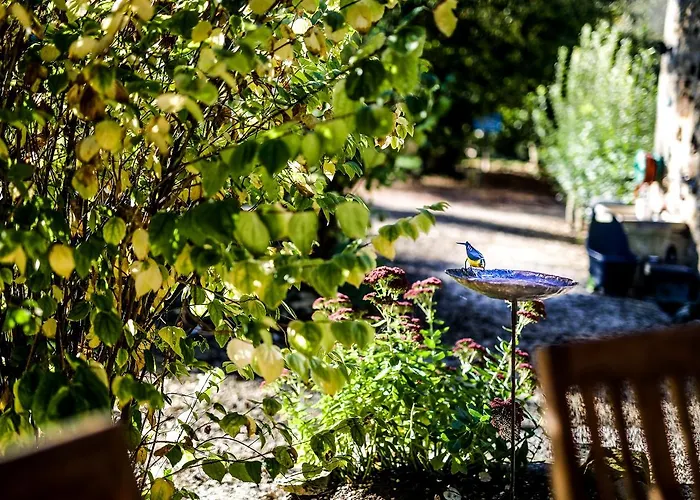 Le Moulin De Planiol Frühstückspension Le Vigan (Lot)